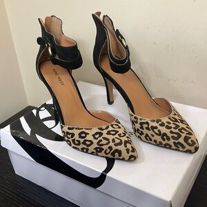 Leopard shies